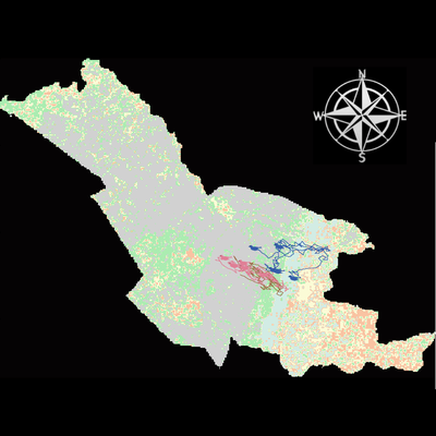 MezaReverdAreasCA view Scenario 2 (2.2.2).png